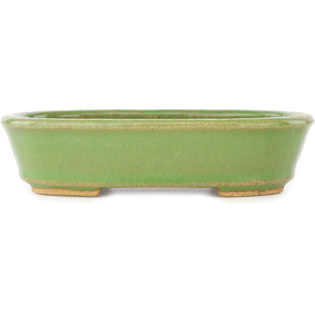 Pot à bonsaï ovale vert de Hattori - 157 x 115 x 37 mm