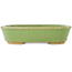 Pot à bonsaï ovale vert de Hattori - 157 x 115 x 37 mm