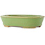 Pot à bonsaï ovale vert de Hattori - 157 x 115 x 37 mm