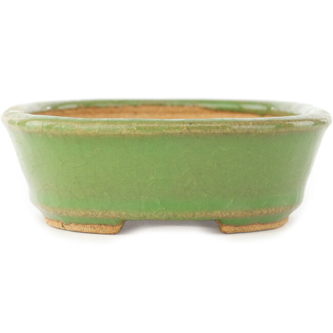 Oval green bonsai pot by Hattori - 157 x 115 x 37 mm