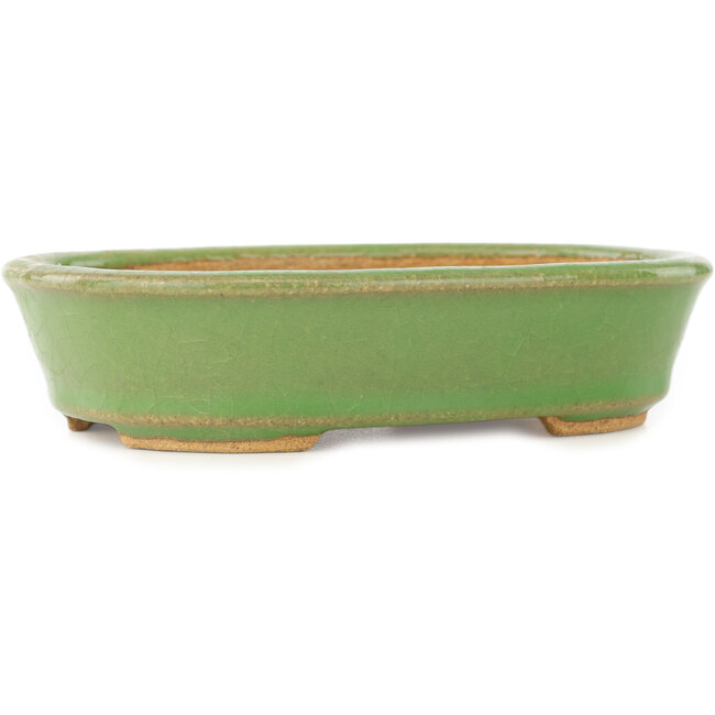 Maceta ovalada verde para bonsái de Hattori - 157 x 115 x 37 mm