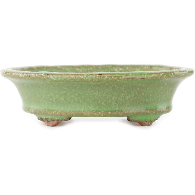 Vaso bonsai ovale verde di Hattori - 127 x 112 x 37 mm