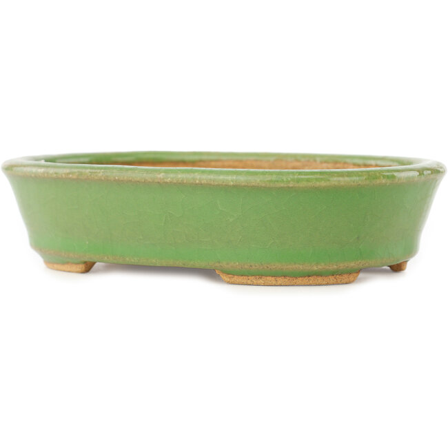 Pot à bonsaï ovale vert de Hattori - 157 x 115 x 37 mm