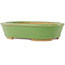 Pot à bonsaï ovale vert de Hattori - 157 x 115 x 37 mm