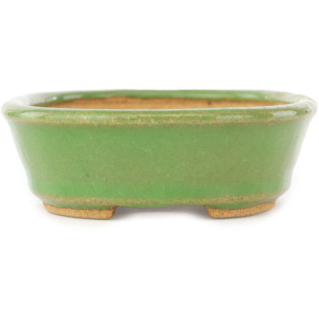 Pot à bonsaï ovale vert de Hattori - 157 x 115 x 37 mm