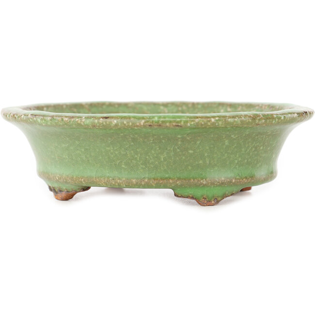 Ovale groene bonsai pot van Hattori - 127 x 112 x 37 mm