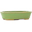 Pot à bonsaï ovale vert de Hattori - 157 x 115 x 37 mm