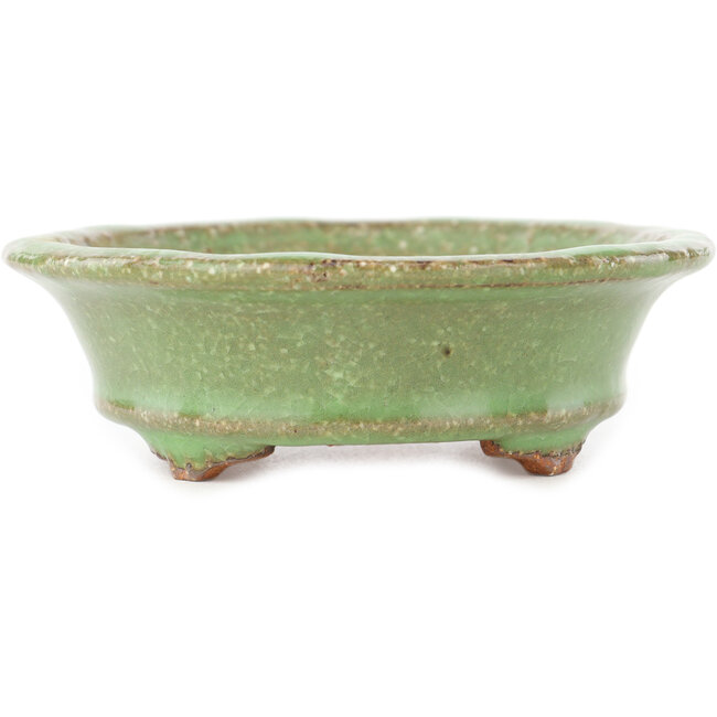 Vaso bonsai ovale verde di Hattori - 127 x 112 x 37 mm