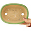 Pot à bonsaï ovale vert de Hattori - 157 x 115 x 37 mm