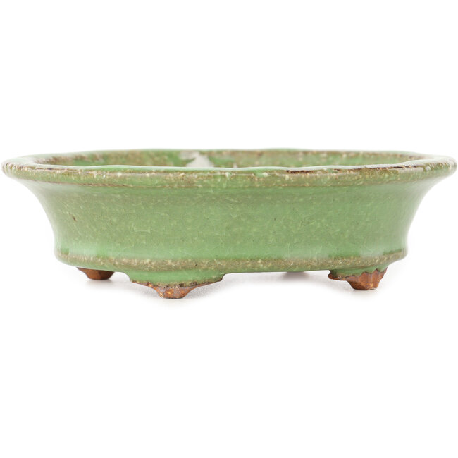 Ovale groene bonsai pot van Hattori - 127 x 112 x 37 mm