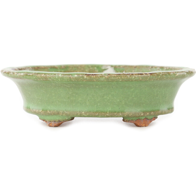 Maceta ovalada verde para bonsái de Hattori - 127 x 112 x 37 mm