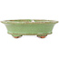 Pot à bonsaï ovale vert de Hattori - 127 x 112 x 37 mm