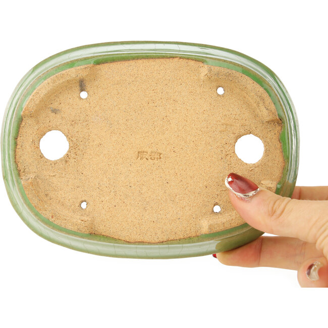 Maceta ovalada verde para bonsái de Hattori - 157 x 115 x 37 mm