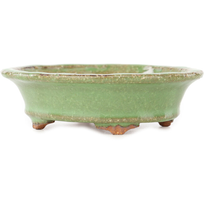 Oval green bonsai pot by Hattori - 127 x 112 x 37 mm