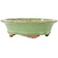 Pot à bonsaï ovale vert de Hattori - 127 x 112 x 37 mm