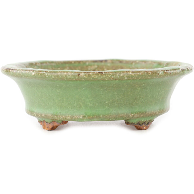 Maceta ovalada verde para bonsái de Hattori - 127 x 112 x 37 mm