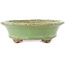 Vaso bonsai ovale verde di Hattori - 127 x 112 x 37 mm
