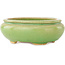 Pot à bonsaï ovale vert de Hattori - 120 x 105 x 45 mm