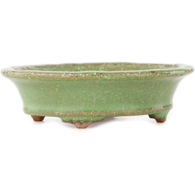 Oval green bonsai pot by Hattori - 127 x 112 x 37 mm