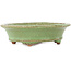 Ovale groene bonsai pot van Hattori - 127 x 112 x 37 mm