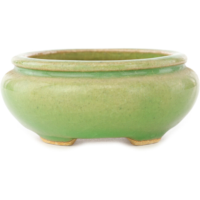 Maceta ovalada verde para bonsái de Hattori - 120 x 105 x 45 mm