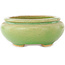Oval green bonsai pot by Hattori - 120 x 105 x 45 mm