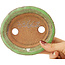 Pot à bonsaï ovale vert de Hattori - 127 x 112 x 37 mm