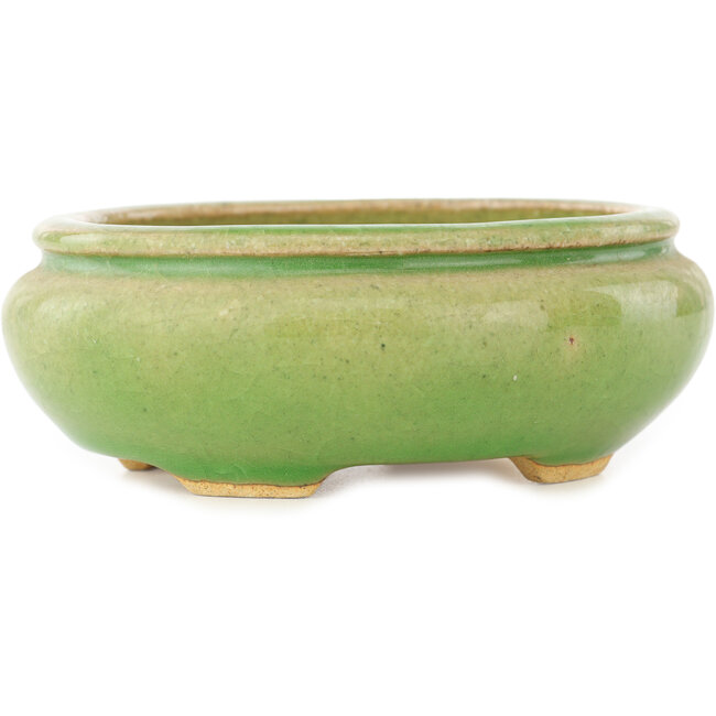 Pot à bonsaï ovale vert de Hattori - 120 x 105 x 45 mm