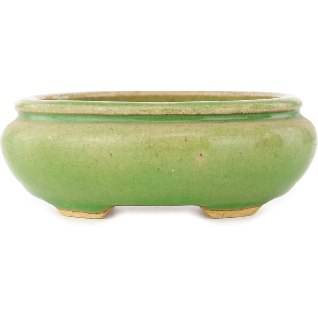 Oval green bonsai pot by Hattori - 120 x 105 x 45 mm