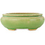 Ovale groene bonsai pot van Hattori - 120 x 105 x 45 mm