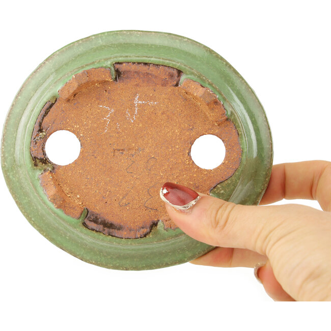 Maceta ovalada verde para bonsái de Hattori - 127 x 112 x 37 mm