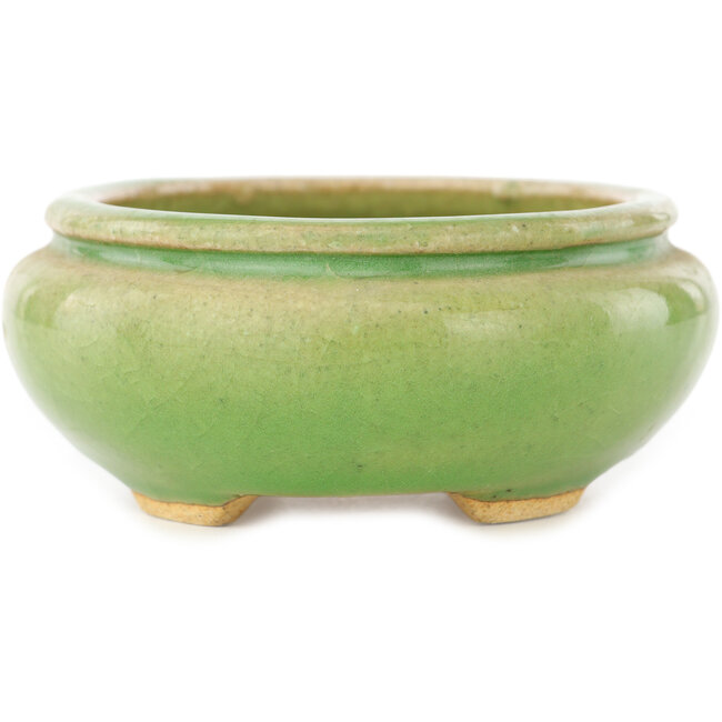 Pot à bonsaï ovale vert de Hattori - 120 x 105 x 45 mm