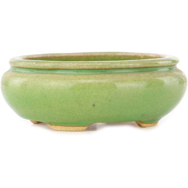 Maceta ovalada verde para bonsái de Hattori - 120 x 105 x 45 mm