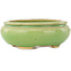 Pot à bonsaï ovale vert de Hattori - 120 x 105 x 45 mm