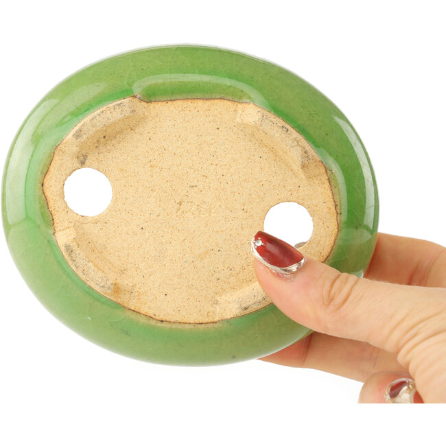 Pot à bonsaï ovale vert de Hattori - 120 x 105 x 45 mm