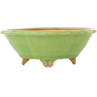  Hattori Tomoyuki Pot à bonsaï vert mokko 135 mm par Hattori, Tokoname, Japon