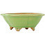 Pot à bonsaï vert mokko de Hattori - 135 x 115 x 50 mm