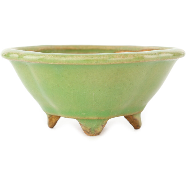 Maceta para bonsái verde Mokko de Hattori - 135 x 115 x 50 mm