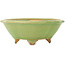 Pot à bonsaï vert mokko de Hattori - 135 x 115 x 50 mm