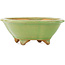 Pot à bonsaï vert mokko de Hattori - 135 x 115 x 50 mm