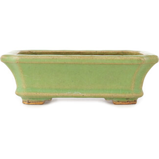  Hattori Tomoyuki Rechthoekige groene bonsaipot van 163 mm van Hattori, Tokoname, Japan
