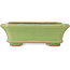 Rectangular green bonsai pot by Hattori - 163 x 122 x 54 mm
