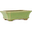 Rectangular green bonsai pot by Hattori - 163 x 122 x 54 mm
