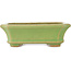 Maceta rectangular verde para bonsái de Hattori - 163 x 122 x 54 mm