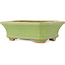 Maceta rectangular verde para bonsái de Hattori - 163 x 122 x 54 mm