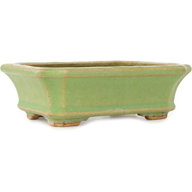 Rechthoekige groene bonsai pot van Hattori - 163 x 122 x 54 mm