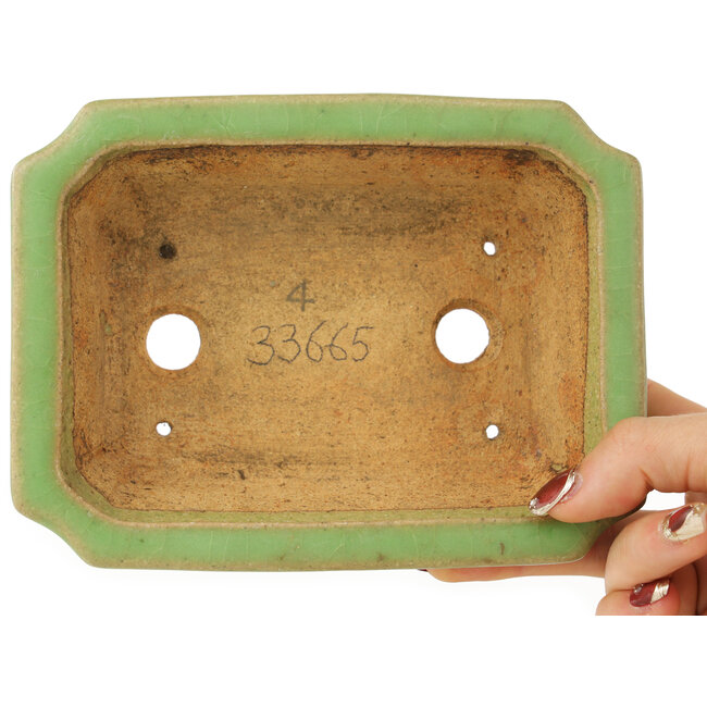 Vaso bonsai rettangolare verde di Hattori - 163 x 122 x 54 mm