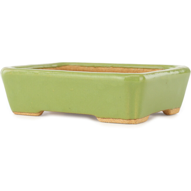 Vaso bonsai rettangolare verde di Hattori - 142 x 107 x 40 mm