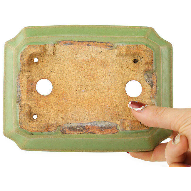 Pot à bonsaï rectangulaire vert par Hattori - 163 x 122 x 54 mm