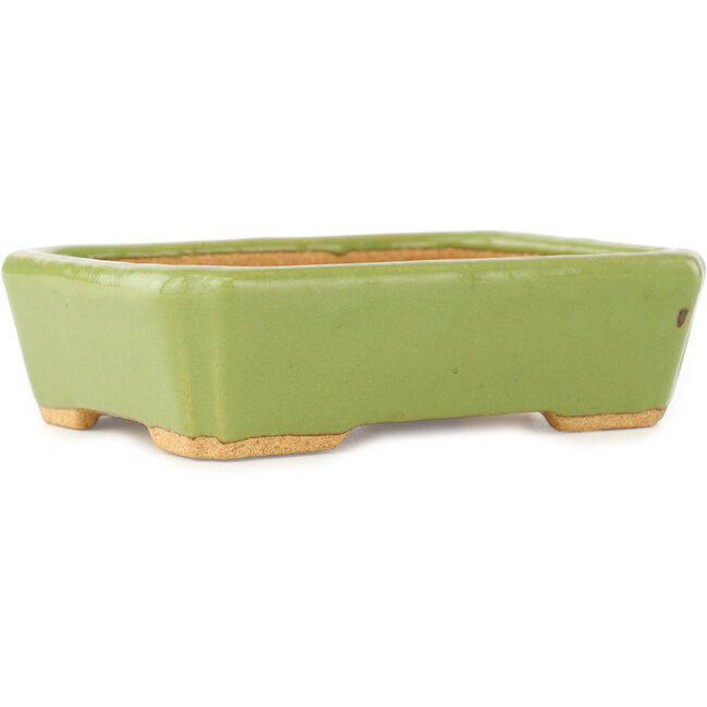 Rechthoekige groene bonsai pot van Hattori - 142 x 107 x 40 mm